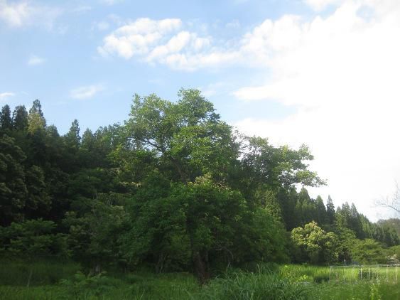 しっかり向き合うこと