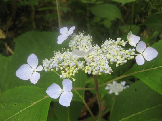 男は黙って２４時間？！