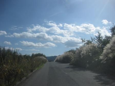 ピンボールのように