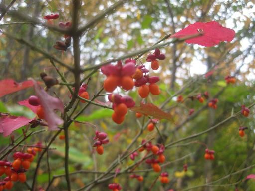 思うようにはいきませんね