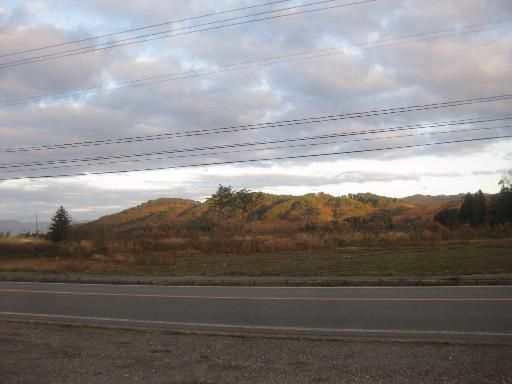 なかなか戻りませんね