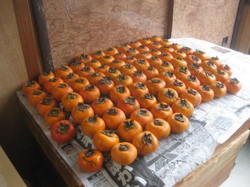 久しぶりの再会旅