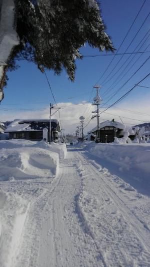 雪の晴れ間に