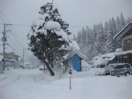 ホワイトクリスマス