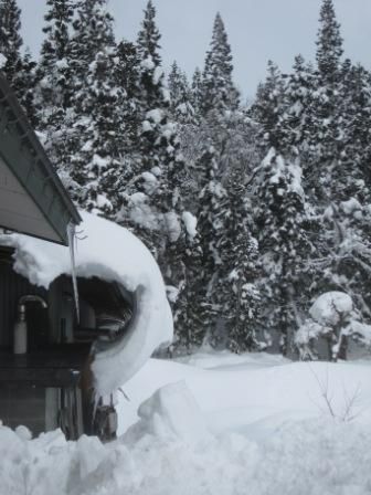 かぶさってきますね