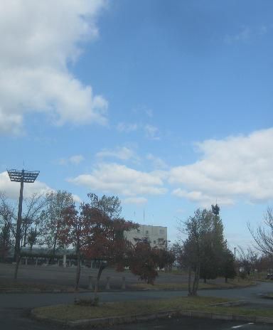 縁は異なもの味なもの・・・