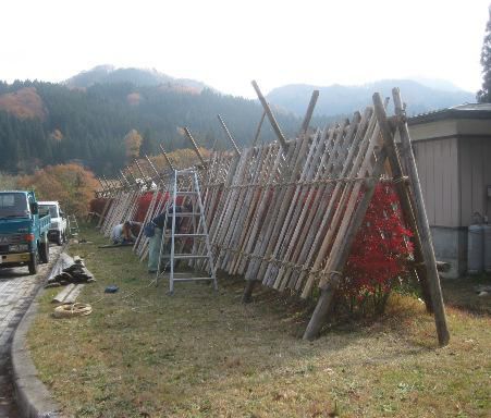 またしても喉が・・・