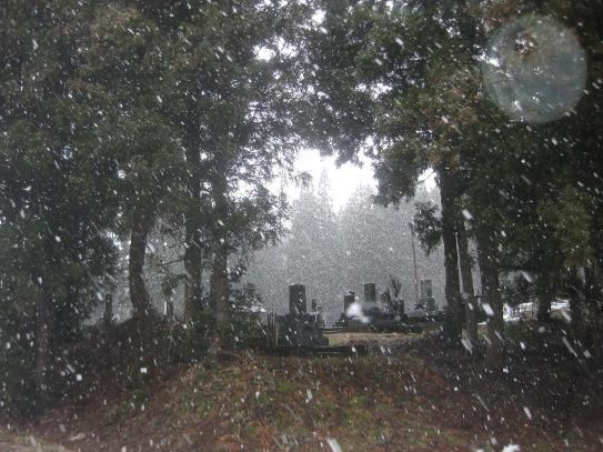 ちょこちょこ降りますが