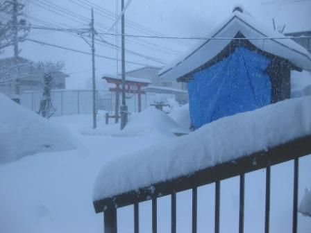 観たいものがあり!