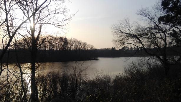 年度が替わっても相変わらず・・・