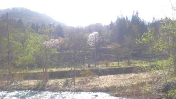 心身ともに、ちょっとなぁ