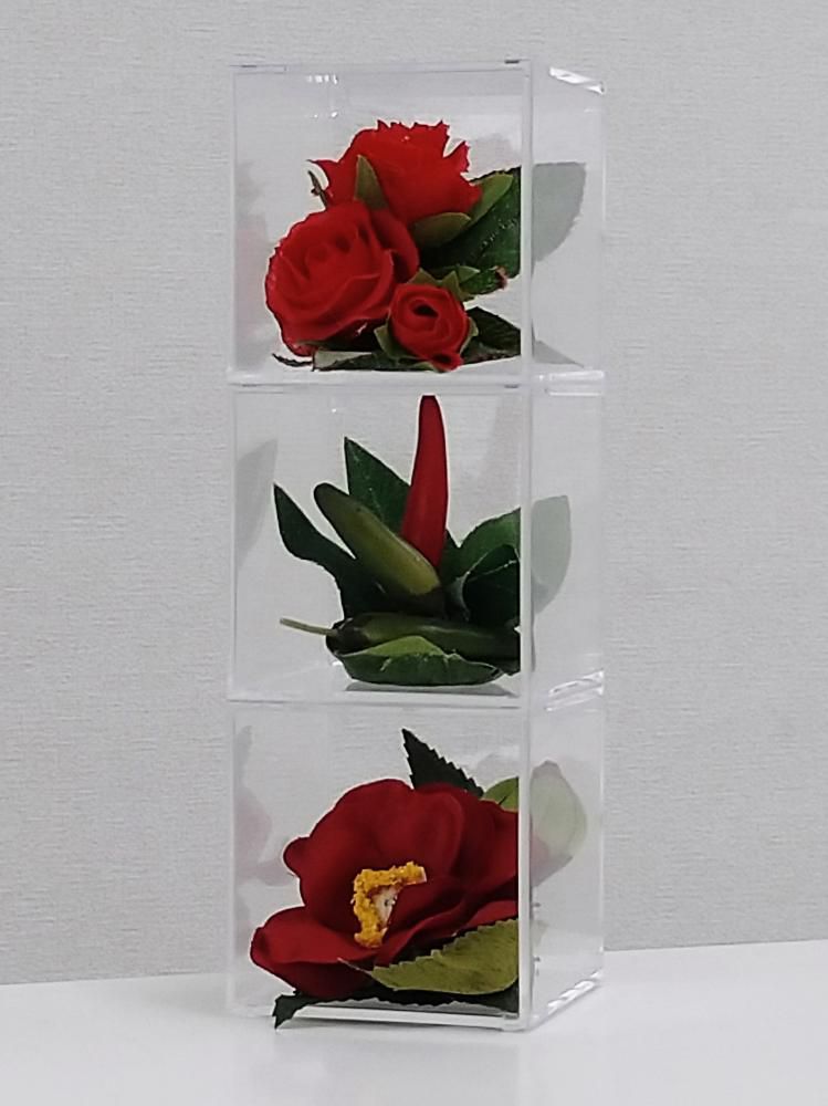 てのり花-TRIANGLE｜赤い花と実