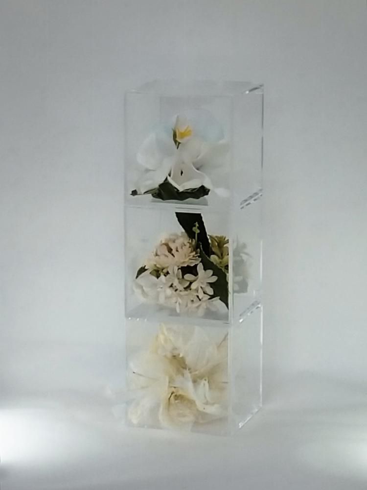 てのり花-TRIANGLE｜白い花