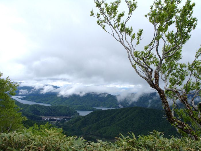 福島県境の風景