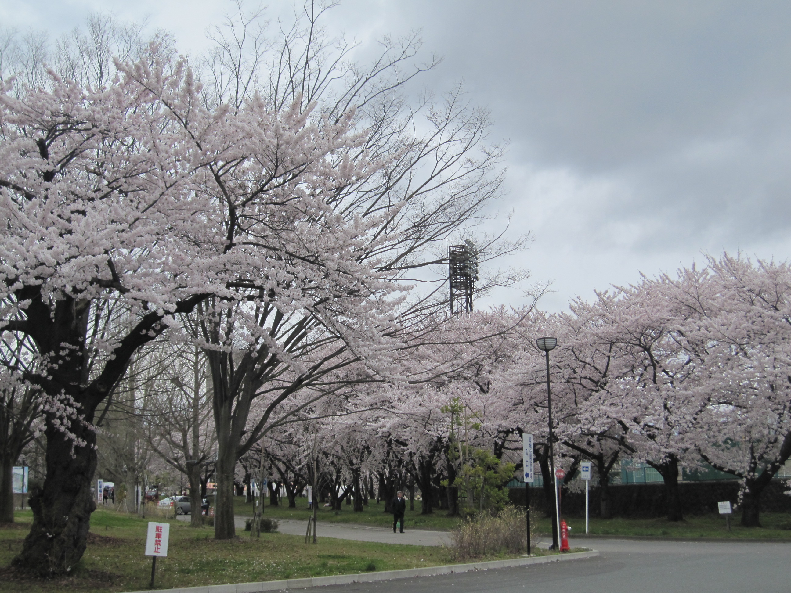 2010/04/28 11:40 ������������Ǥ���