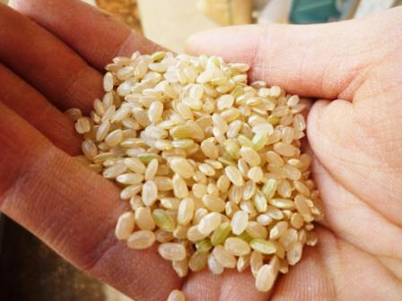 �֤������θ��ƺڿ��ץ��פβ���