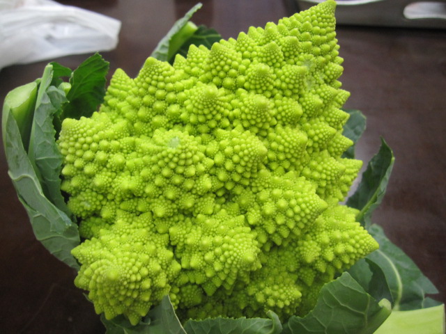 2011/02/05 09:35 ����ե��Ǥ�