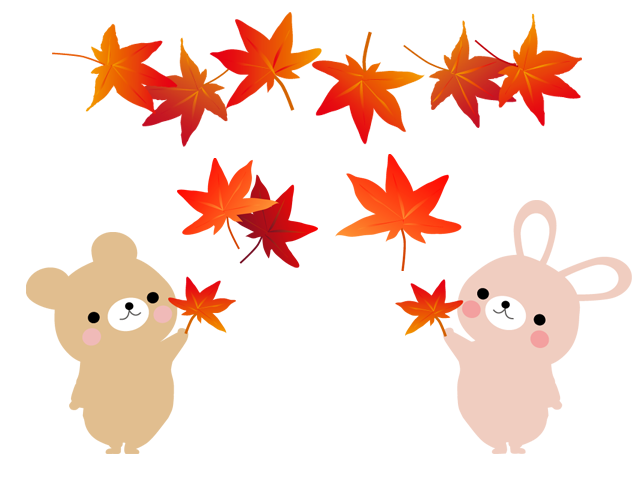 秋ですね～！