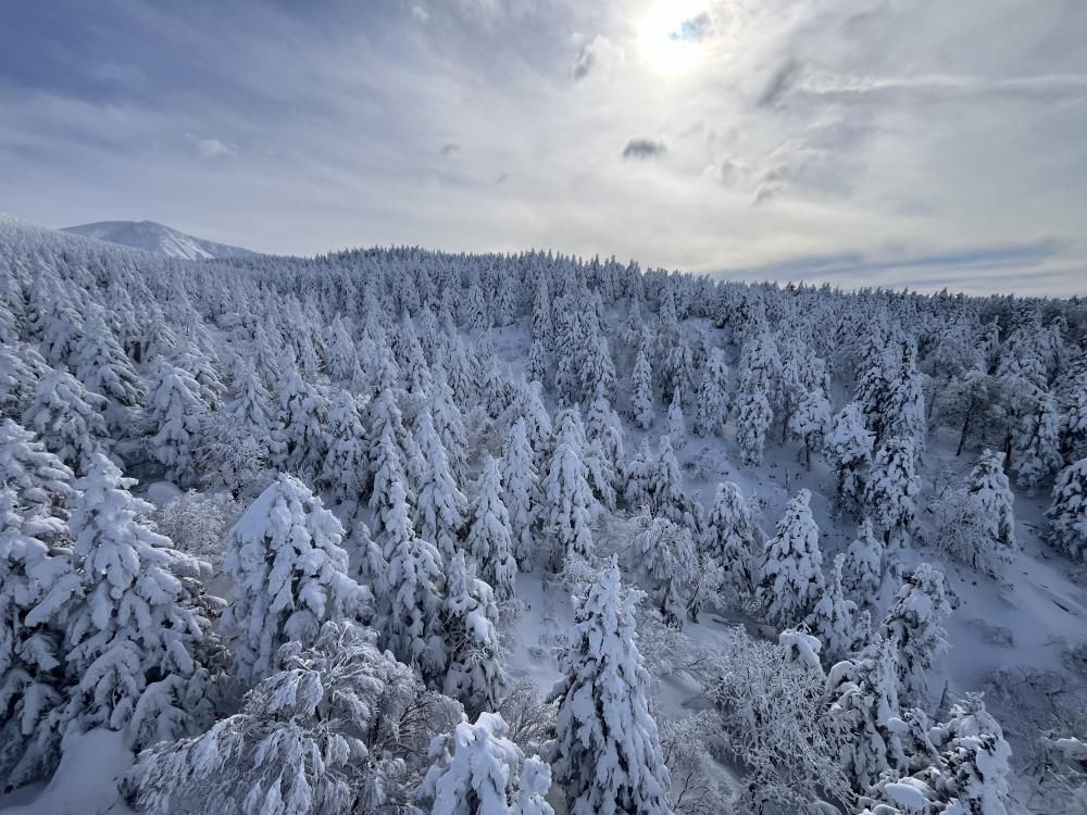 ☆☆初雪予報が出ました☆☆