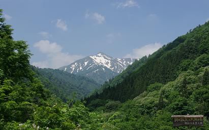 大朝日岳を望む