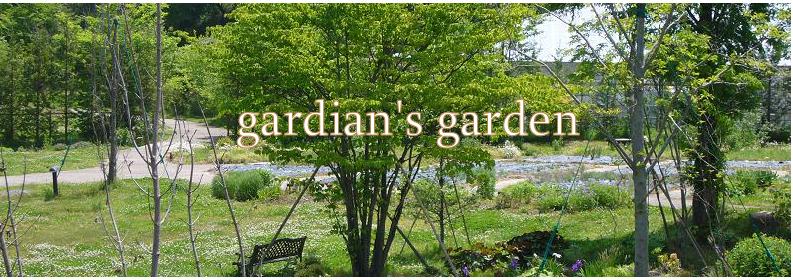 gardians  garden