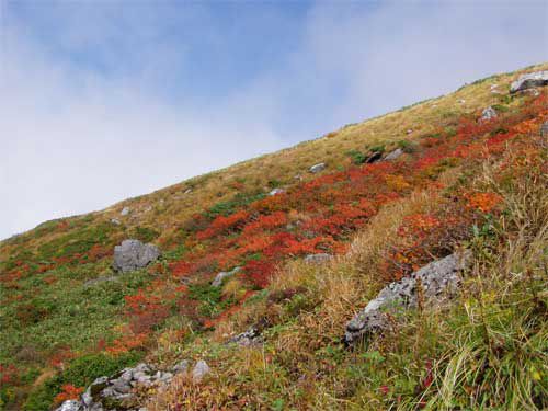 秋の月山　9/26　4