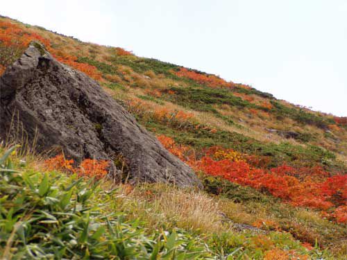 秋の月山　9/26　6