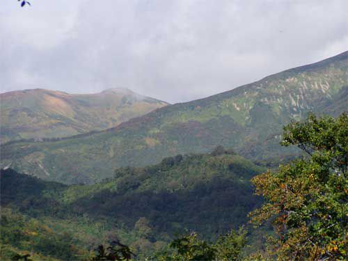 岩根沢コース姥ヶ岳遠望