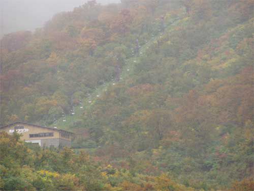 姥ヶ岳の黄葉