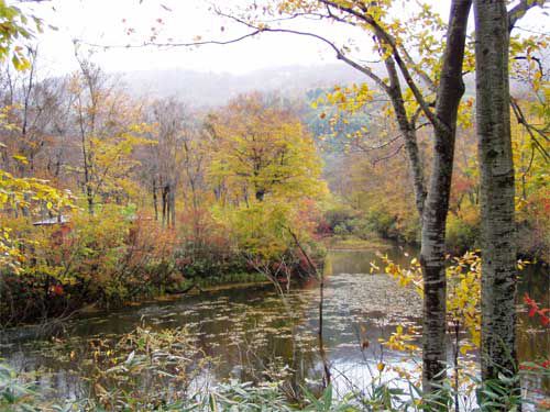 月山山麓地蔵沼周辺　1