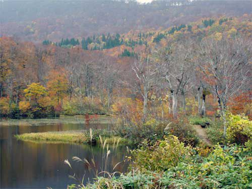 地蔵沼の見慣れた風景