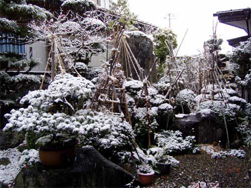 我が家は初雪