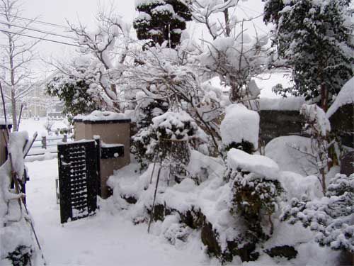 東西日本海側地方大雪