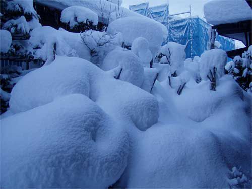 05.大晦日我が家