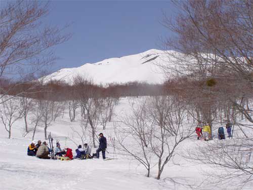 4月の皮松谷地で