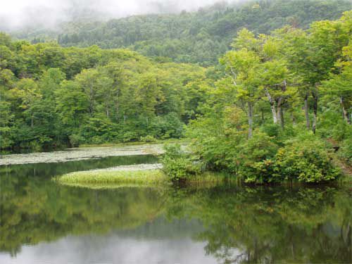 地蔵沼の秋近し