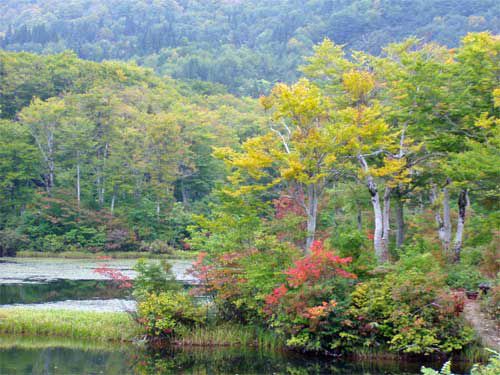 地蔵沼の秋