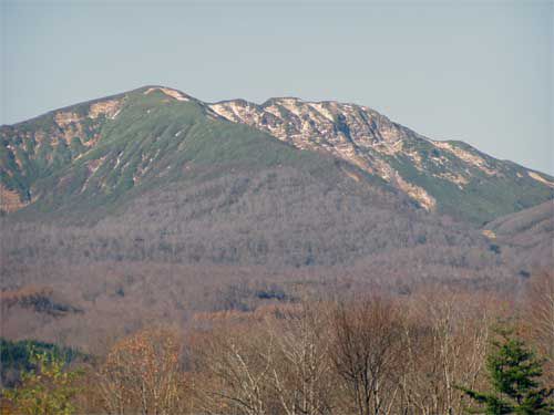 湯殿山冠雪