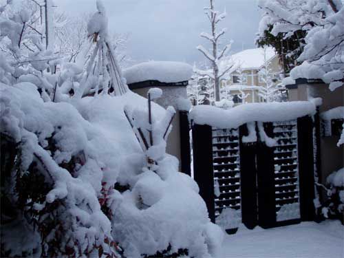 今年一番の雪　2