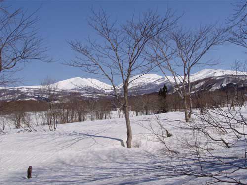 4月の三山