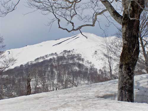 丸森山頂