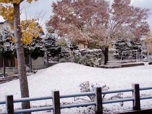 初雪が