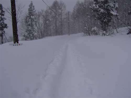 月山道へ