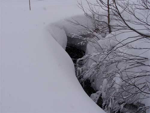 センター前の水路