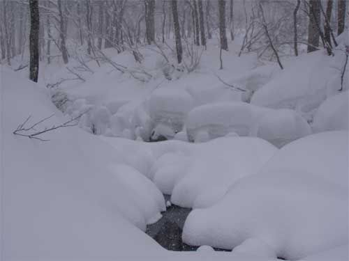 支水口を巻いて