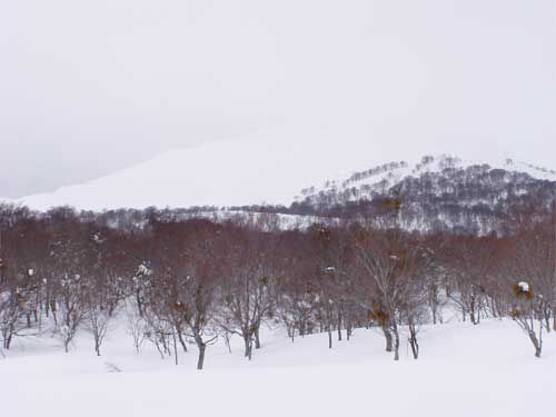 良い山だ