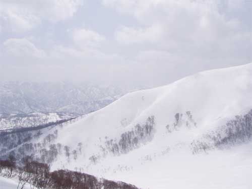 25°傾斜地から