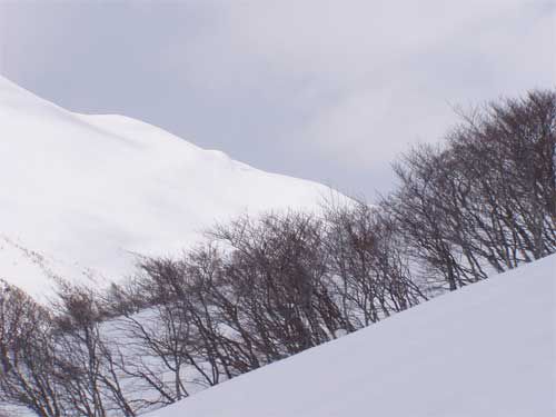 右装束場