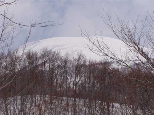 2次林から姥ヶ岳を