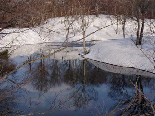 地蔵沼水面